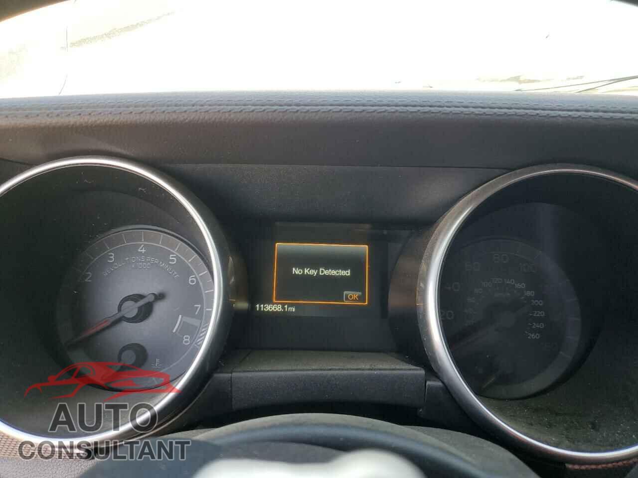 FORD MUSTANG 2019 - 1FA6P8CF0K5102480