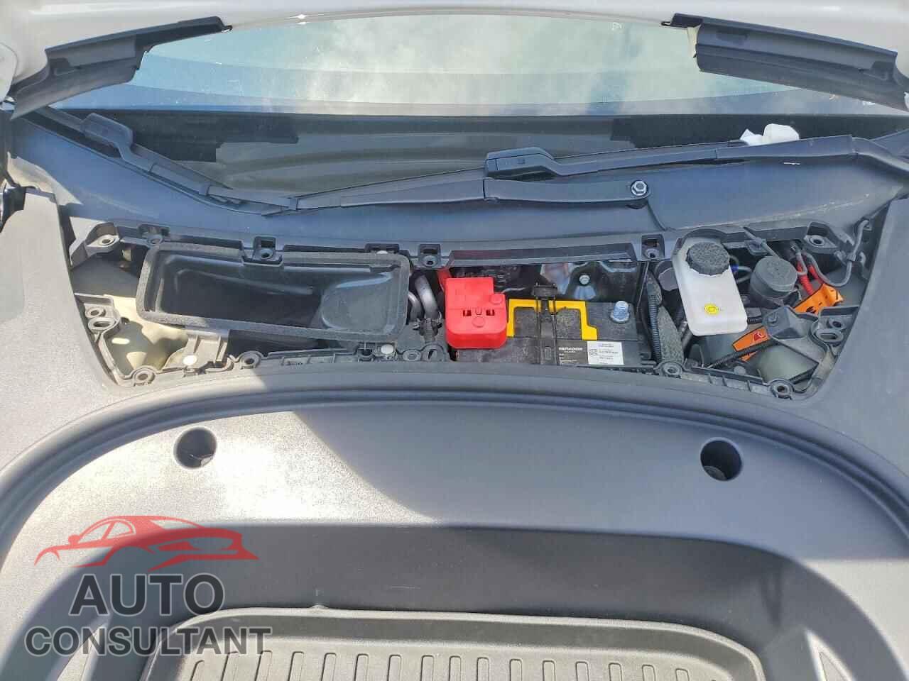 TESLA MODEL 3 2021 - 5YJ3E1EA2MF031019