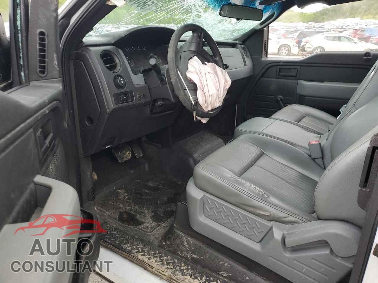 FORD F-150 2011 - 1FTFX1EF8BFC64009