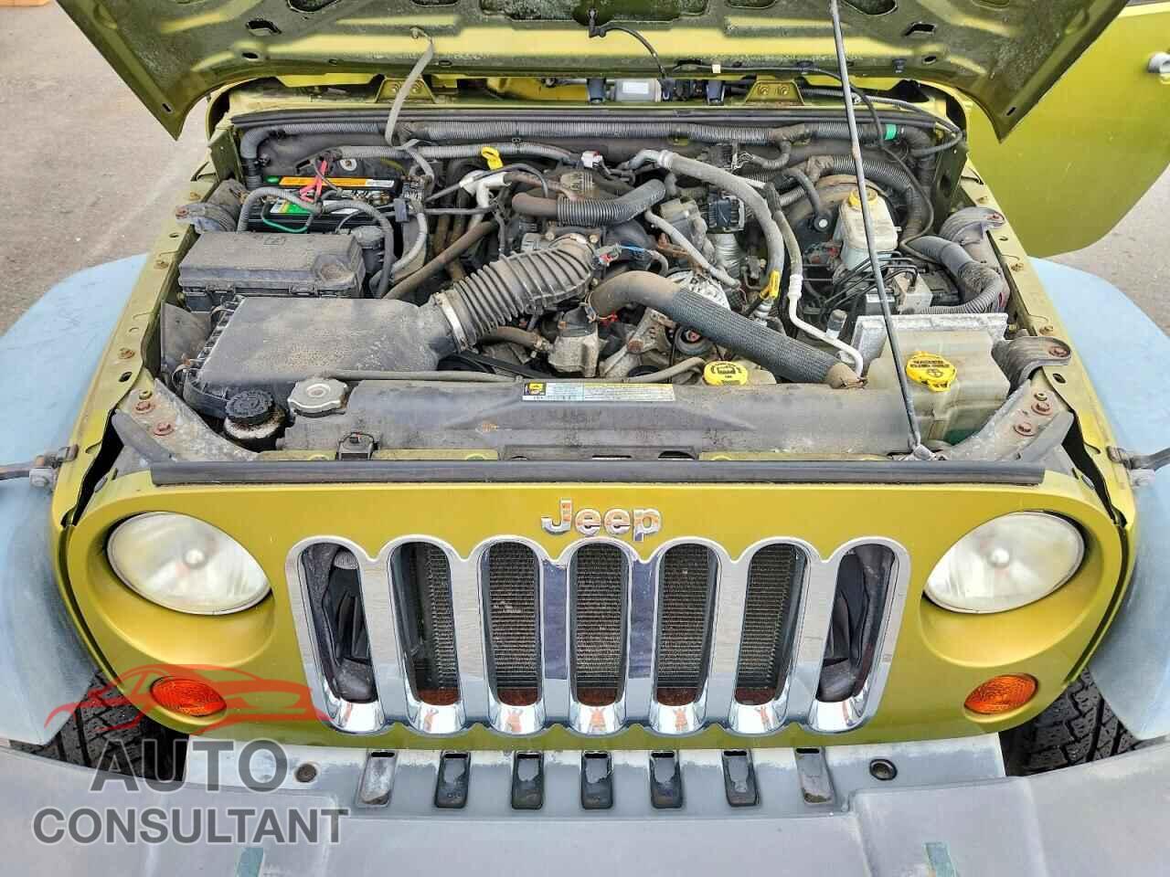 JEEP WRANGLER 2010 - 1J4AA2D16AL207681