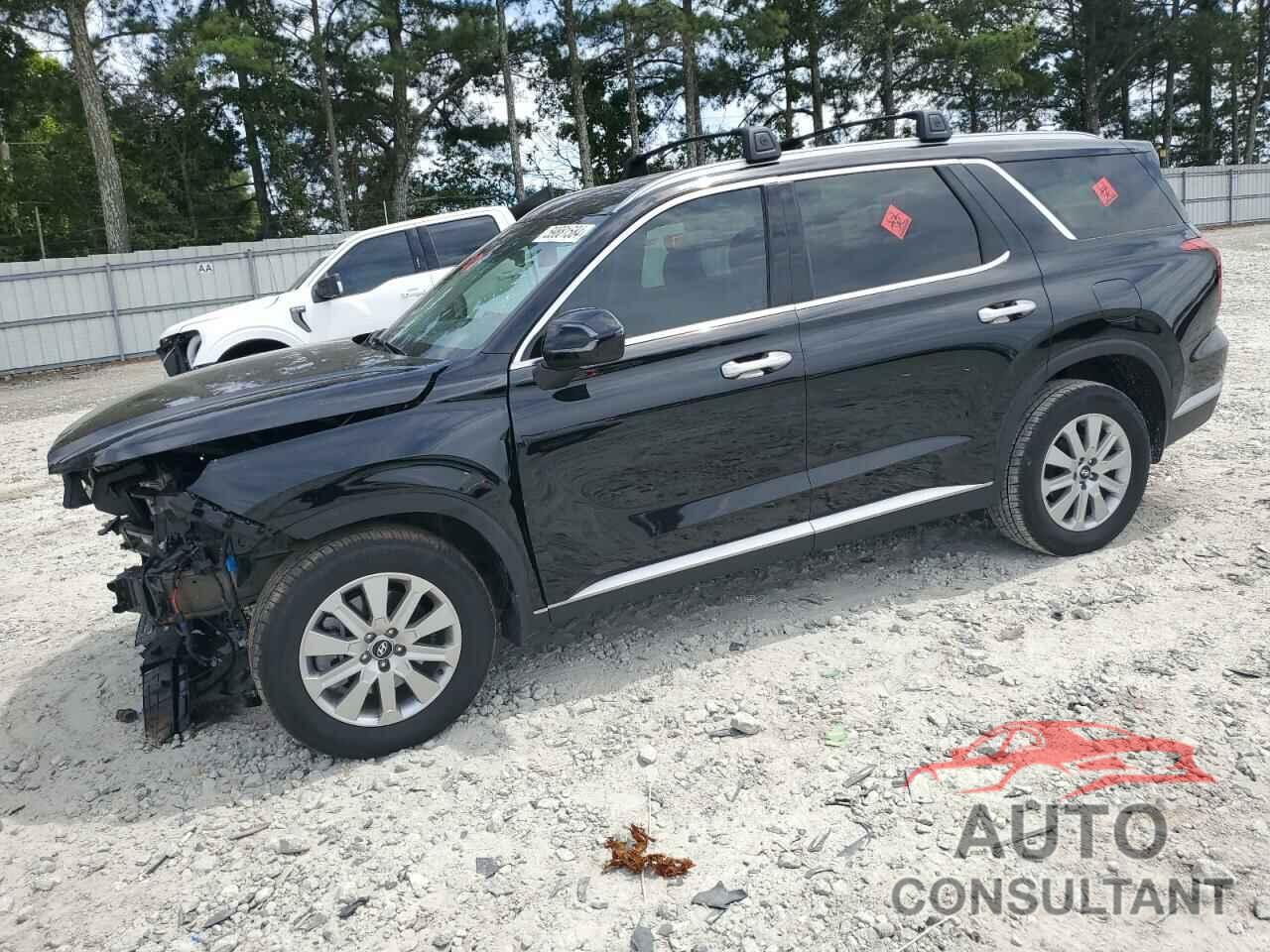 HYUNDAI PALISADE 2024 - KM8R24GE1RU679837