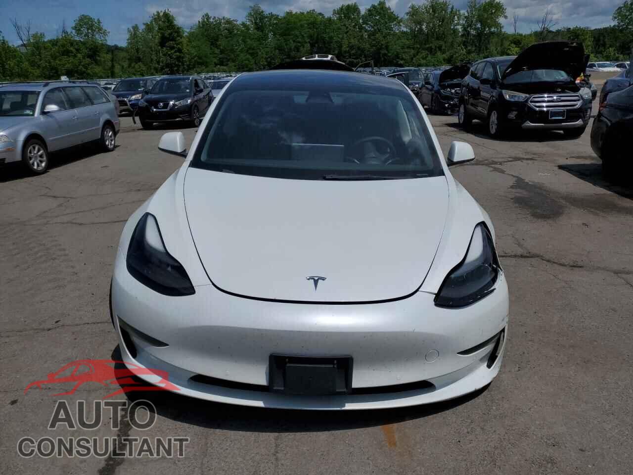 TESLA MODEL 3 2022 - 5YJ3E1EA7NF372563