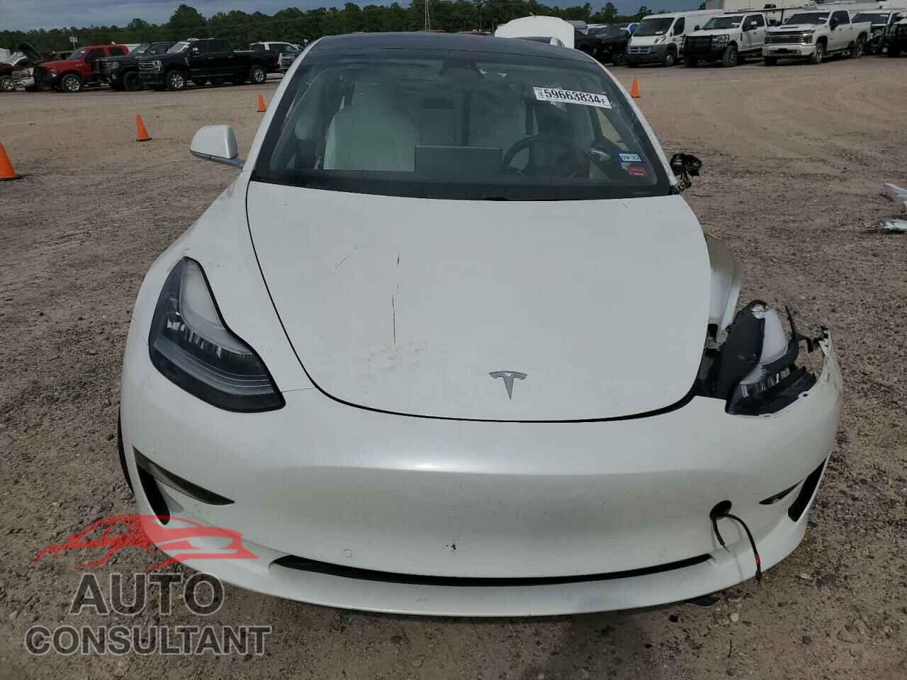 TESLA MODEL 3 2019 - 5YJ3E1EA0KF431917