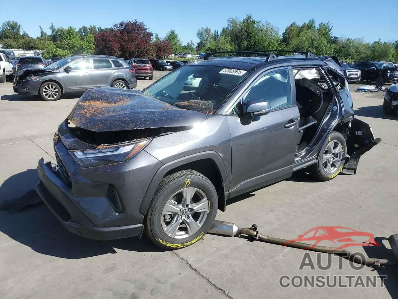TOYOTA RAV4 2025 - 2T3P1RFV5SC493600