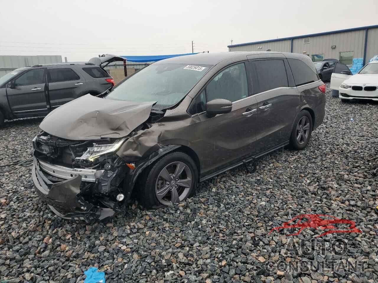 HONDA All Models 2022 - 5FNRL6H59NB029961