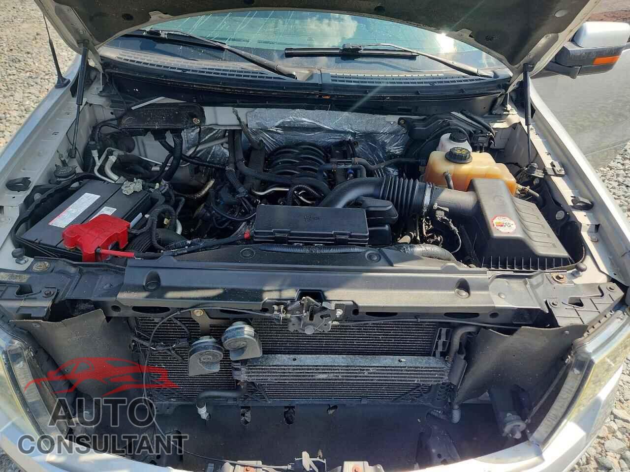 FORD F150 2011 - 1FTFW1EF2BFD04538