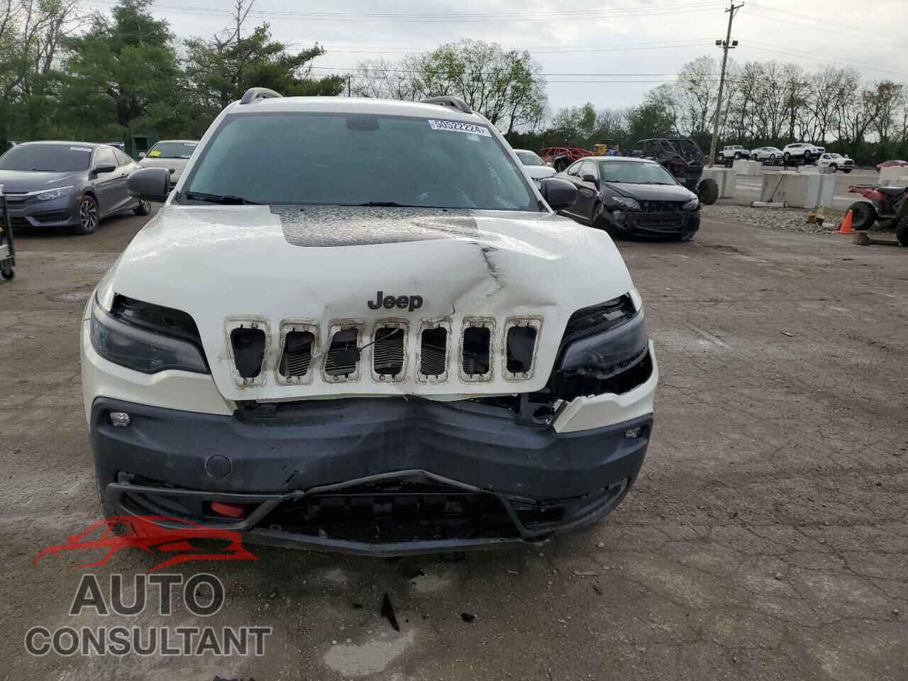 JEEP CHEROKEE 2019 - 1C4PJMBX2KD314077