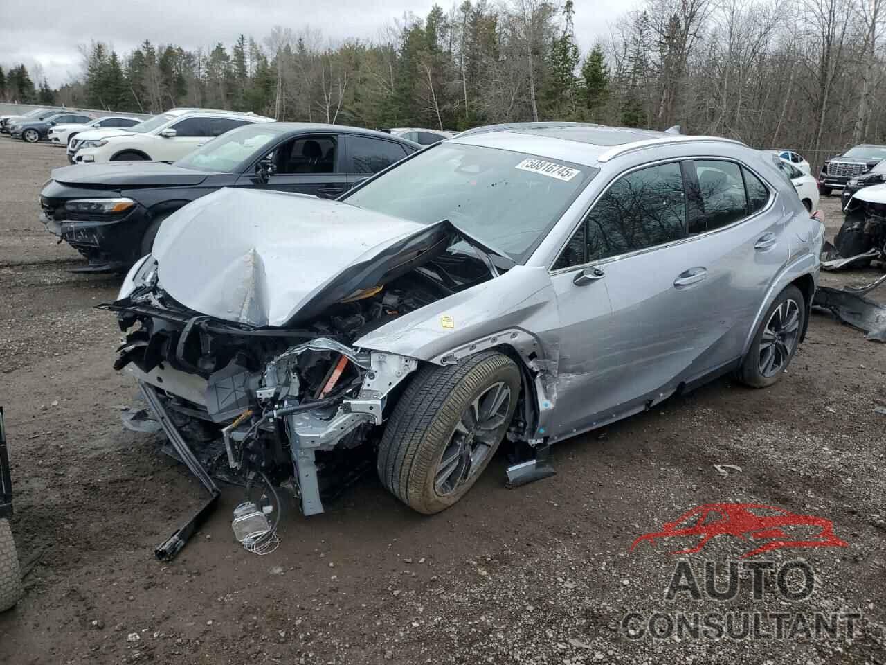 LEXUS UX 300H BA 2025 - JTHUCJDH3S2002460
