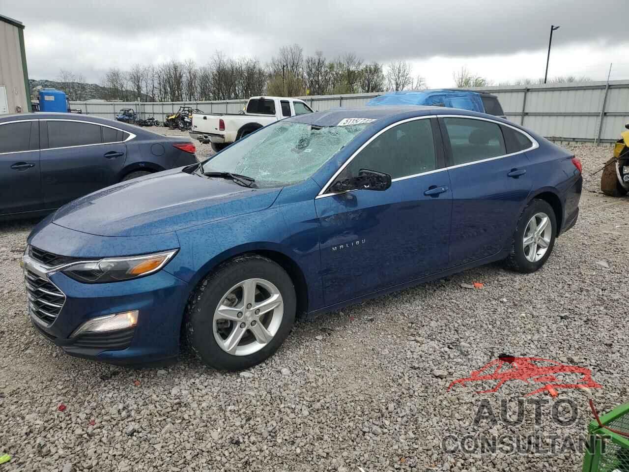 CHEVROLET MALIBU 2019 - 1G1ZB5ST9KF114934