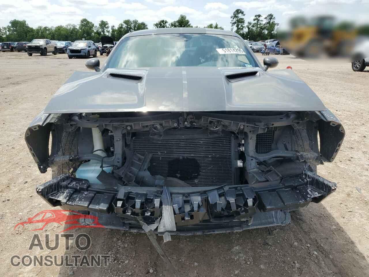 DODGE CHALLENGER 2019 - 2C3CDZAGXKH626174