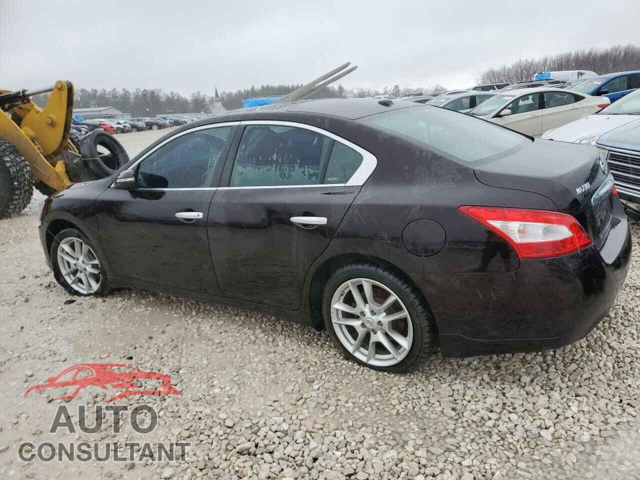 NISSAN MAXIMA 2011 - 1N4AA5AP1BC826518