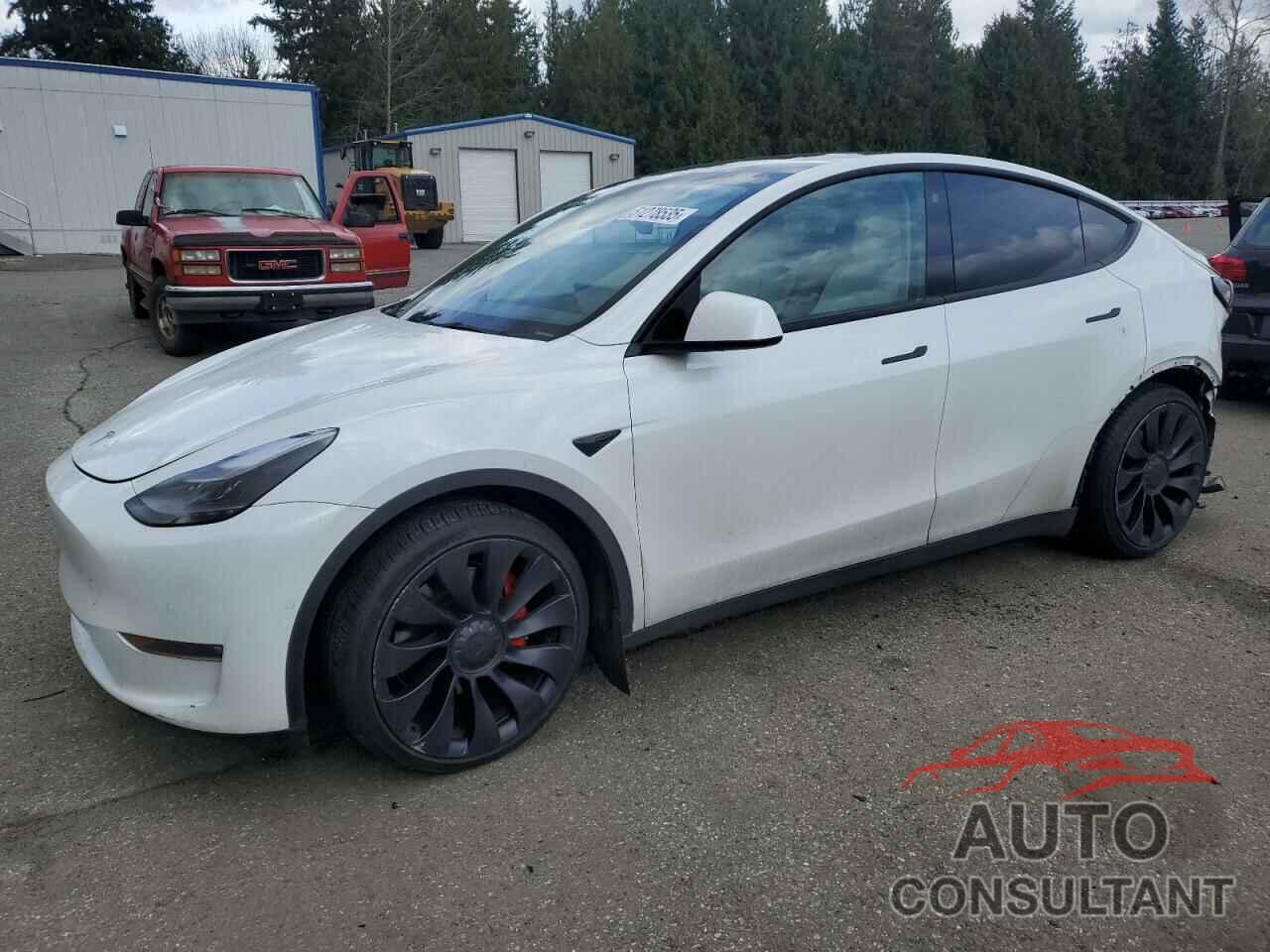 TESLA MODEL Y 2022 - 7SAYGDEF4NF518109