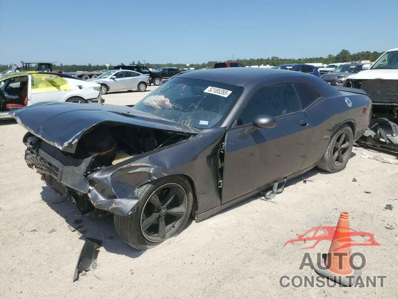 DODGE CHALLENGER 2013 - 2C3CDYAG6DH554175