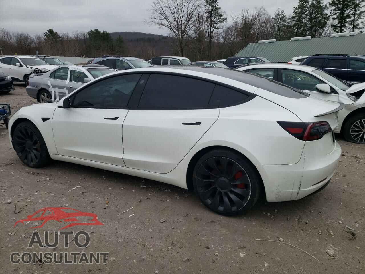 TESLA MODEL 3 2023 - 5YJ3E1EC3PF608355