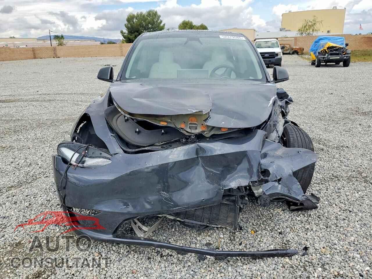 TESLA MODEL Y 2024 - 7SAYGDEF3RF066031