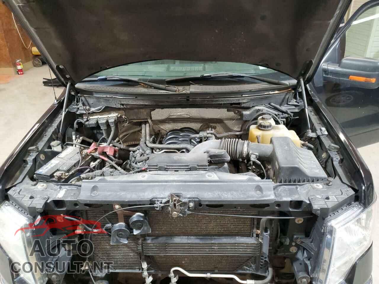 FORD F-150 2013 - 1FTFW1EF1DFD11886
