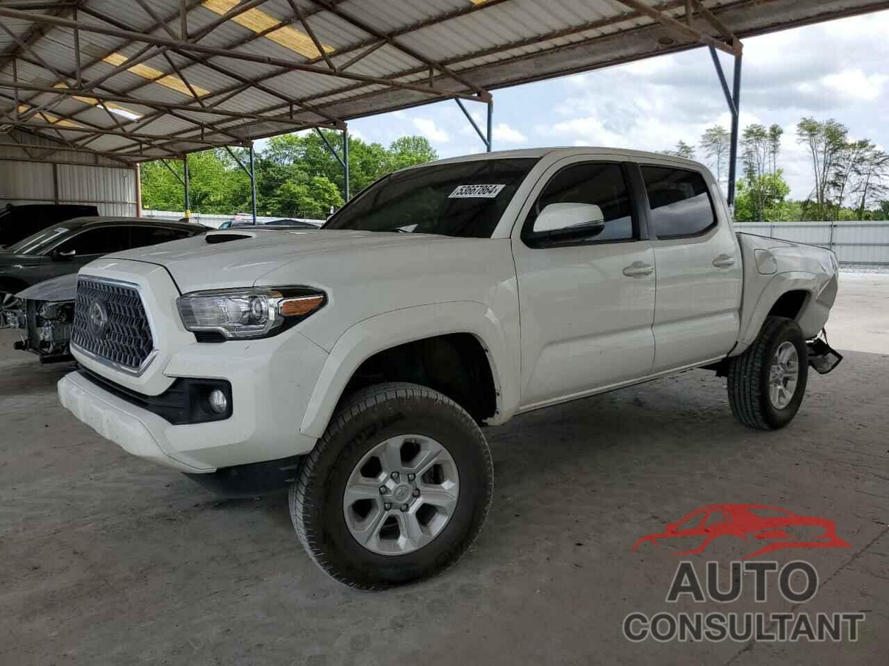 TOYOTA TACOMA 2019 - 3TMCZ5AN8KM256039