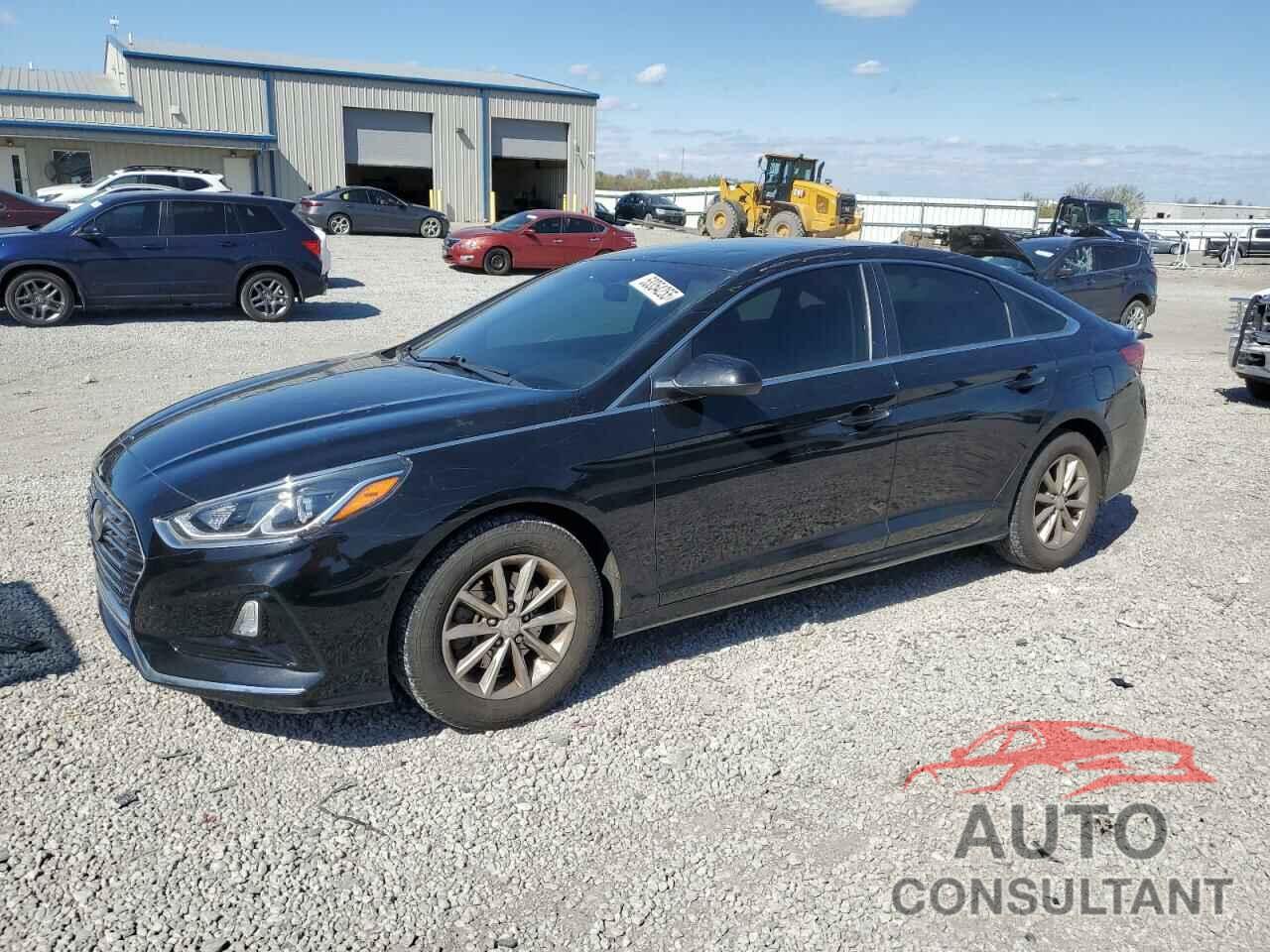 HYUNDAI SONATA 2019 - 5NPE24AF5KH819151