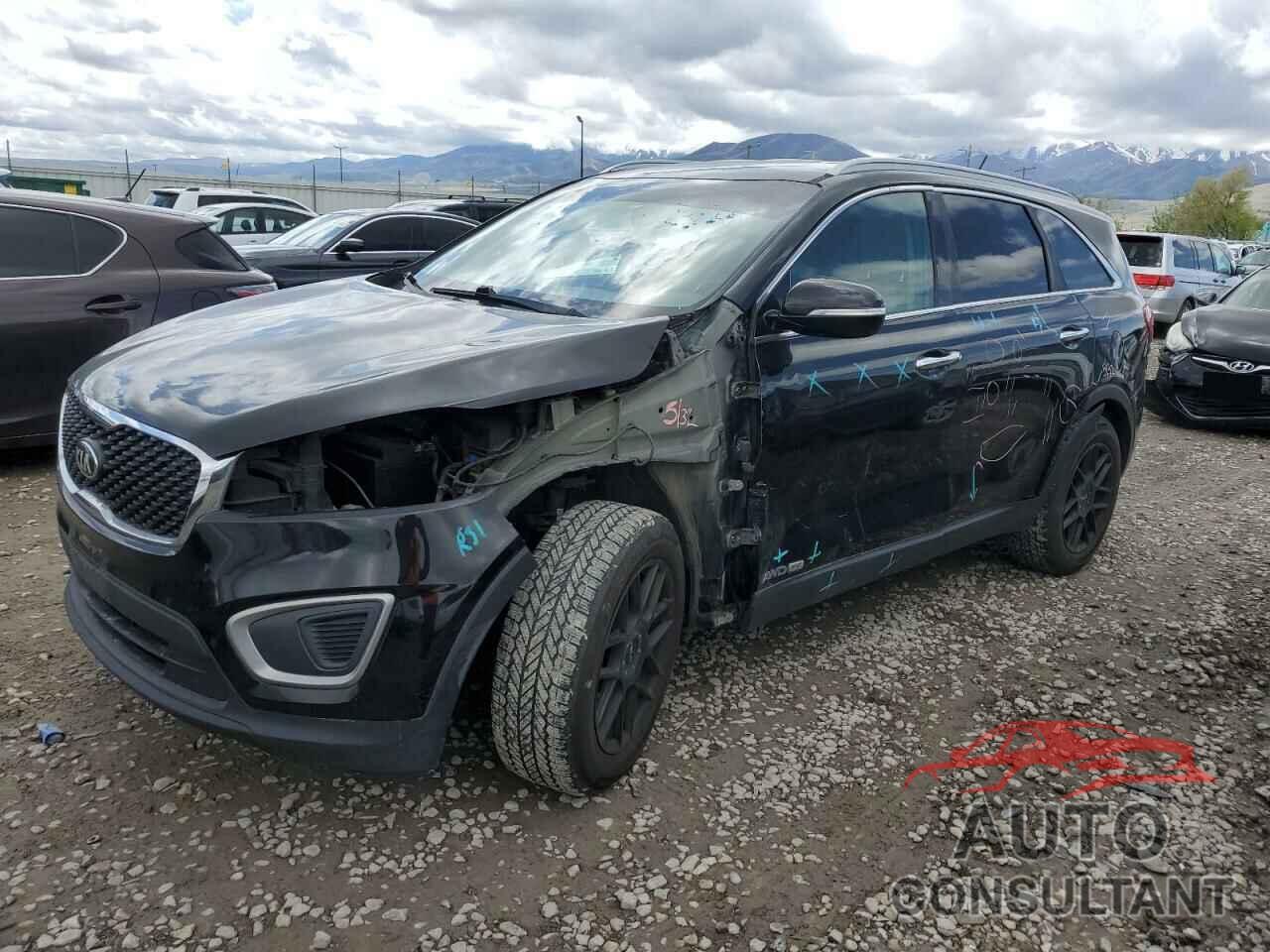 KIA SORENTO 2017 - 5XYPGDA51HG193728