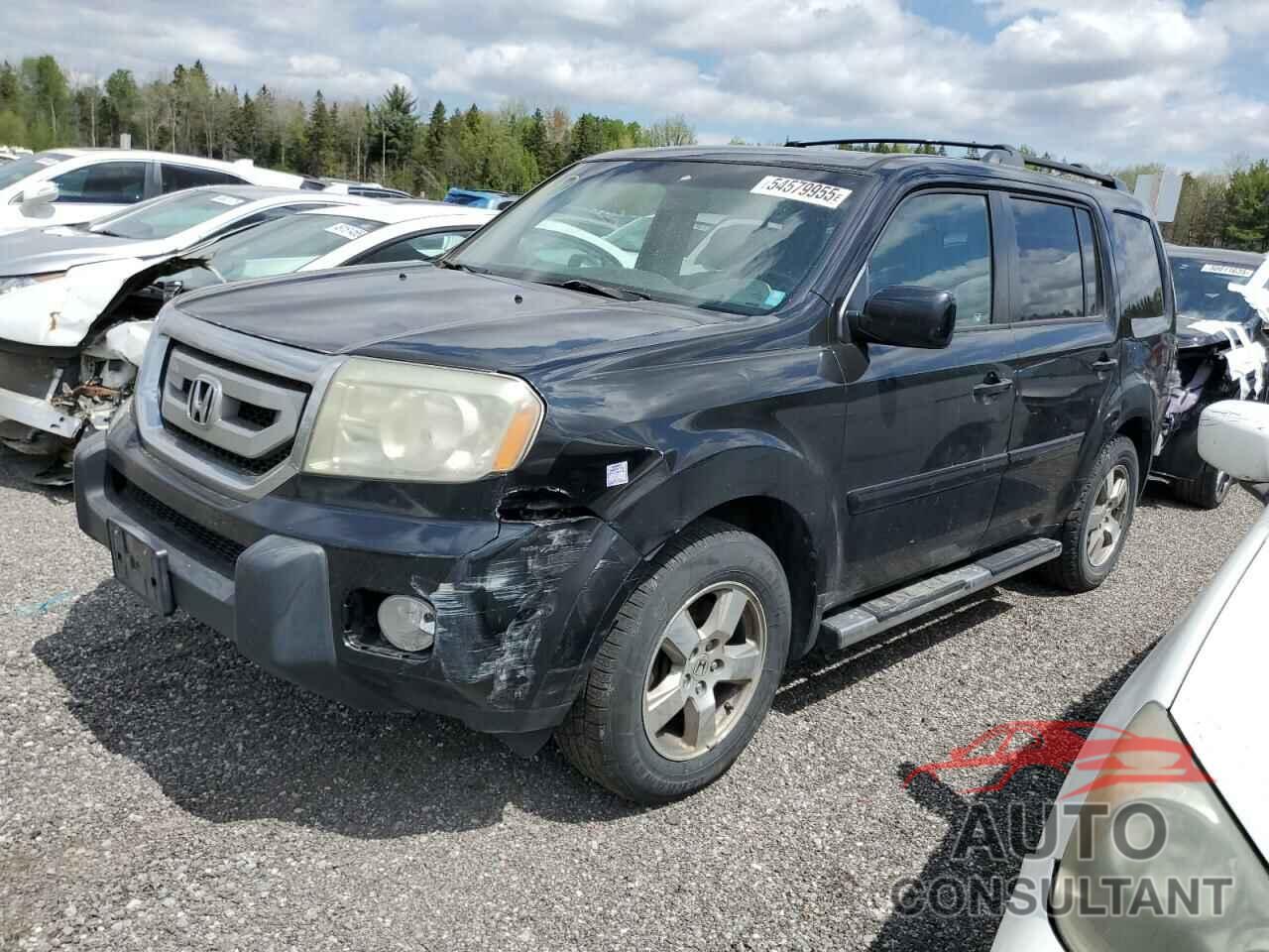 HONDA PILOT 2011 - 5FNYF4H52BB503154