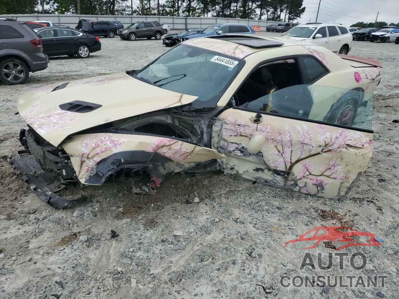 DODGE CHALLENGER 2018 - 2C3CDZAG0JH258618