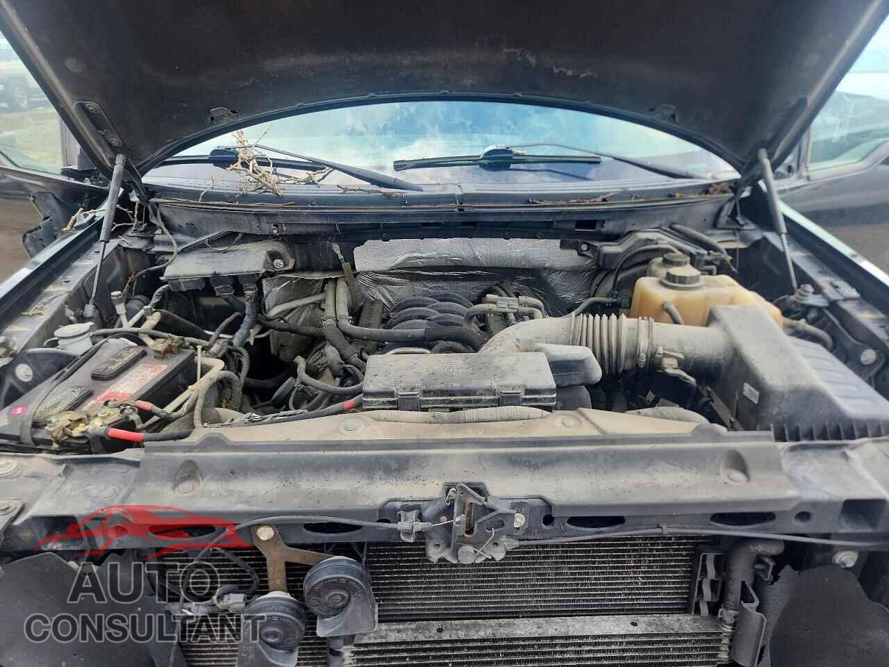 FORD F150 2012 - 1FTFW1EF7CFB83832