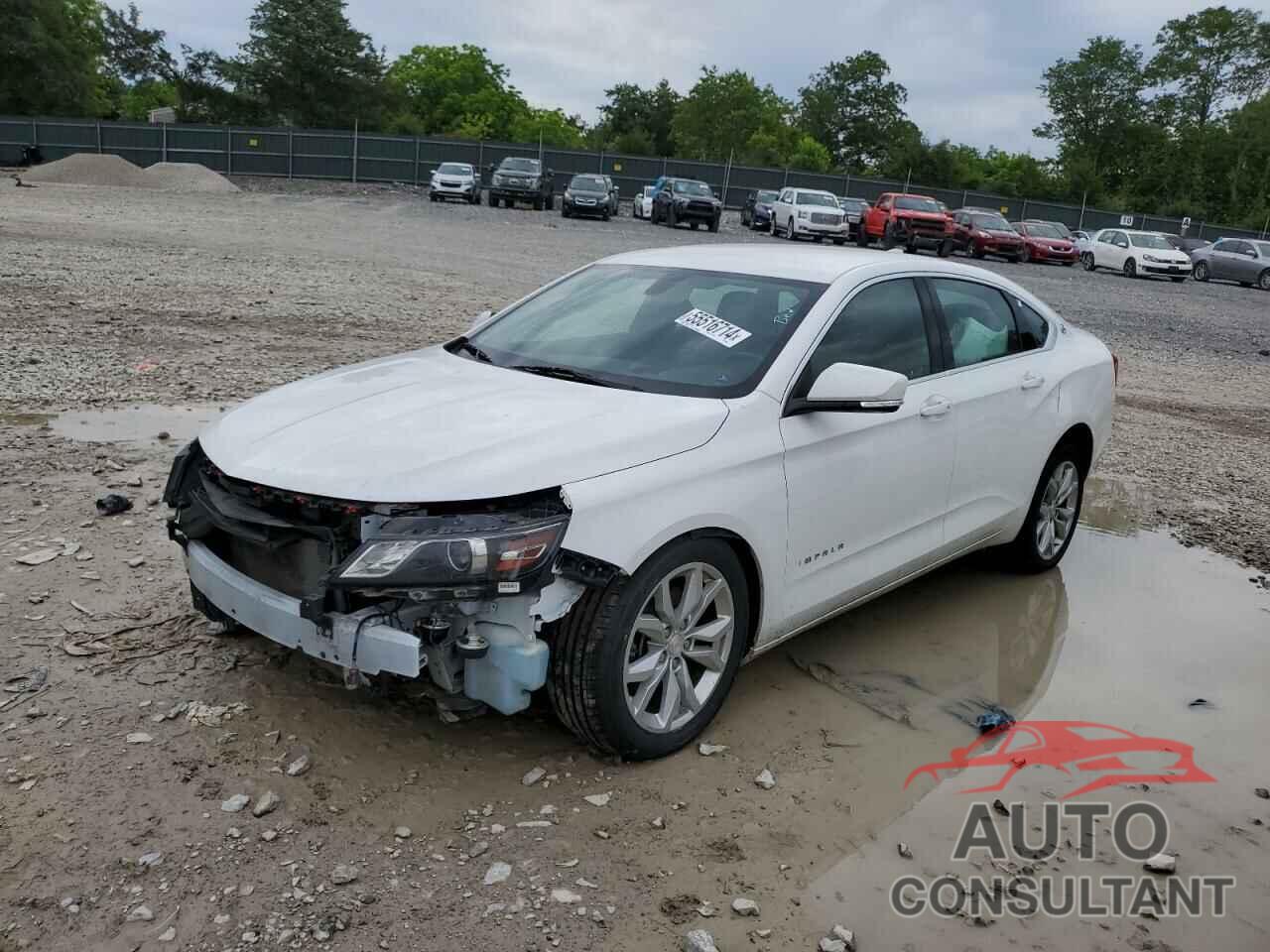 CHEVROLET IMPALA 2019 - 1G11Z5SA4KU138397