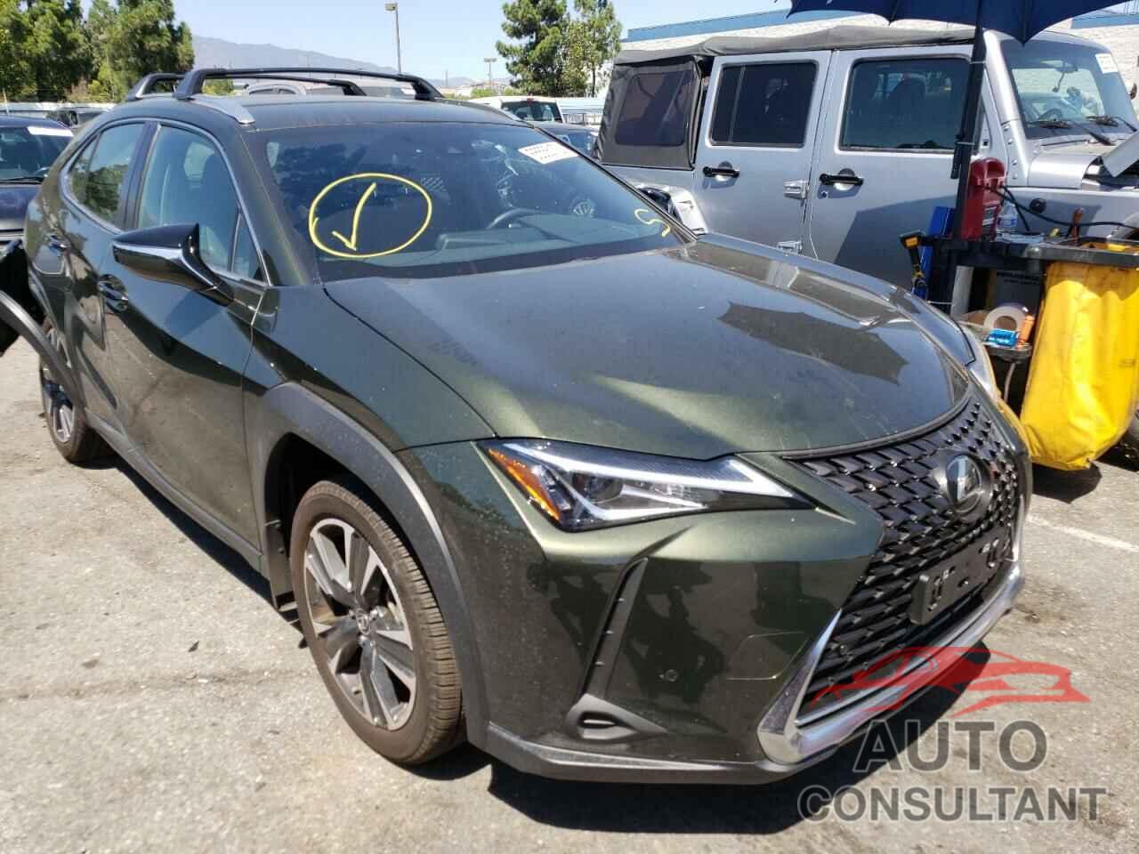 LEXUS UX 200 BAS 2022 - JTHX3JBH7N2050354