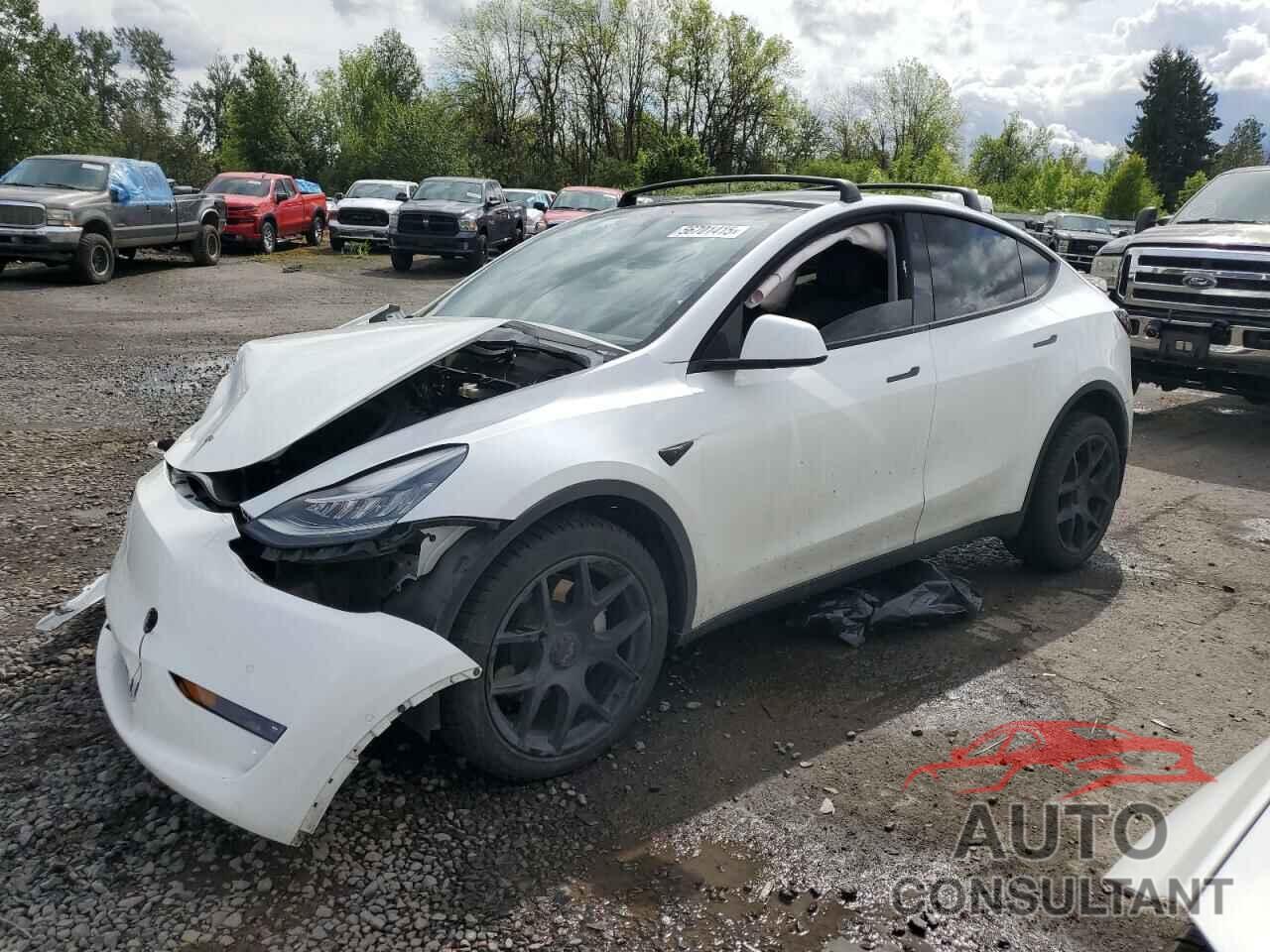 TESLA MODEL Y 2022 - 7SAYGDEE7NF312967
