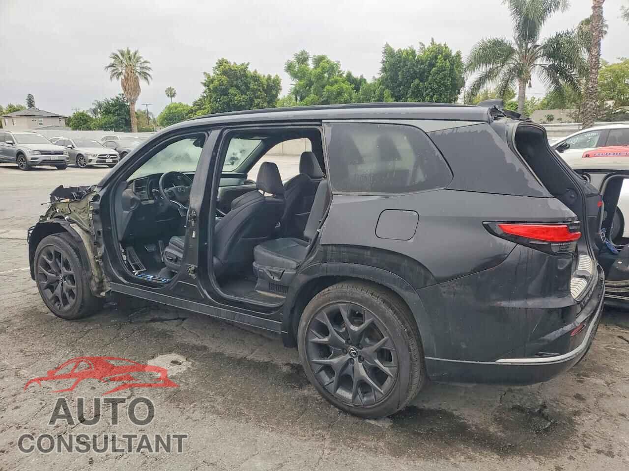 LEXUS UNKNOWN 2024 - 5TDABAB69RS004015