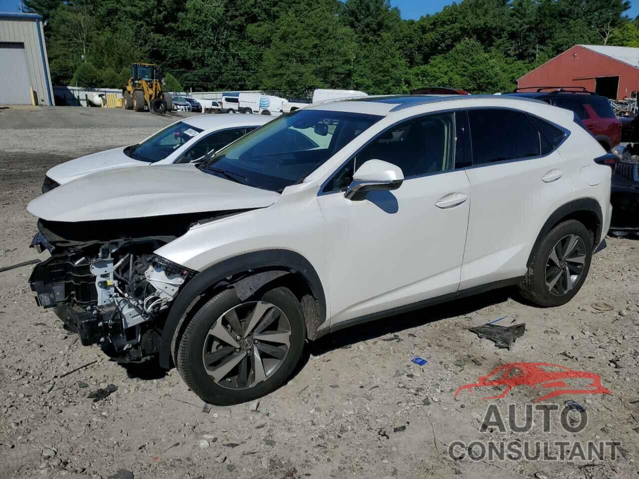 LEXUS NX 2019 - JTJBARBZ2K2215647