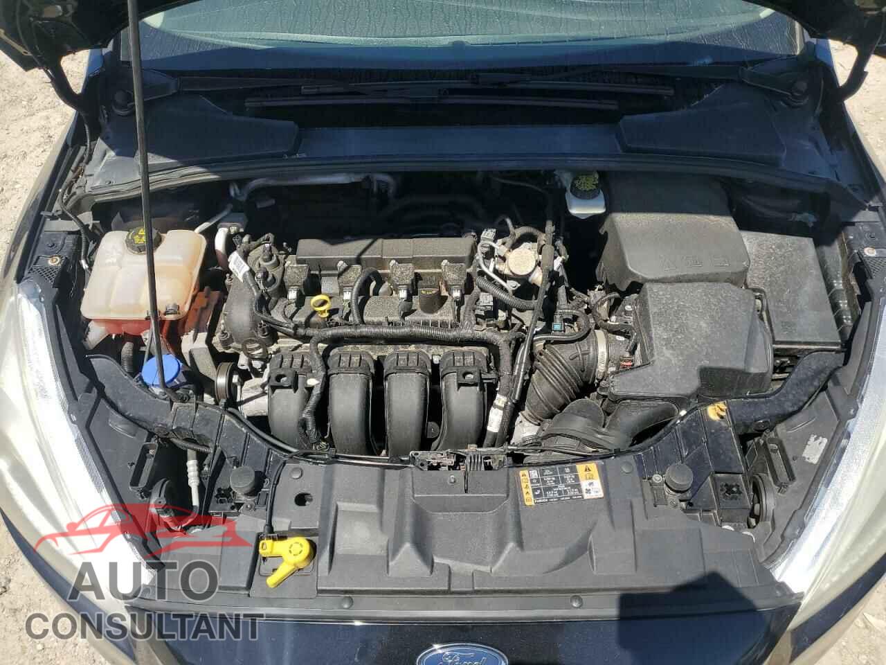 FORD FOCUS 2017 - 1FADP3E24HL212215