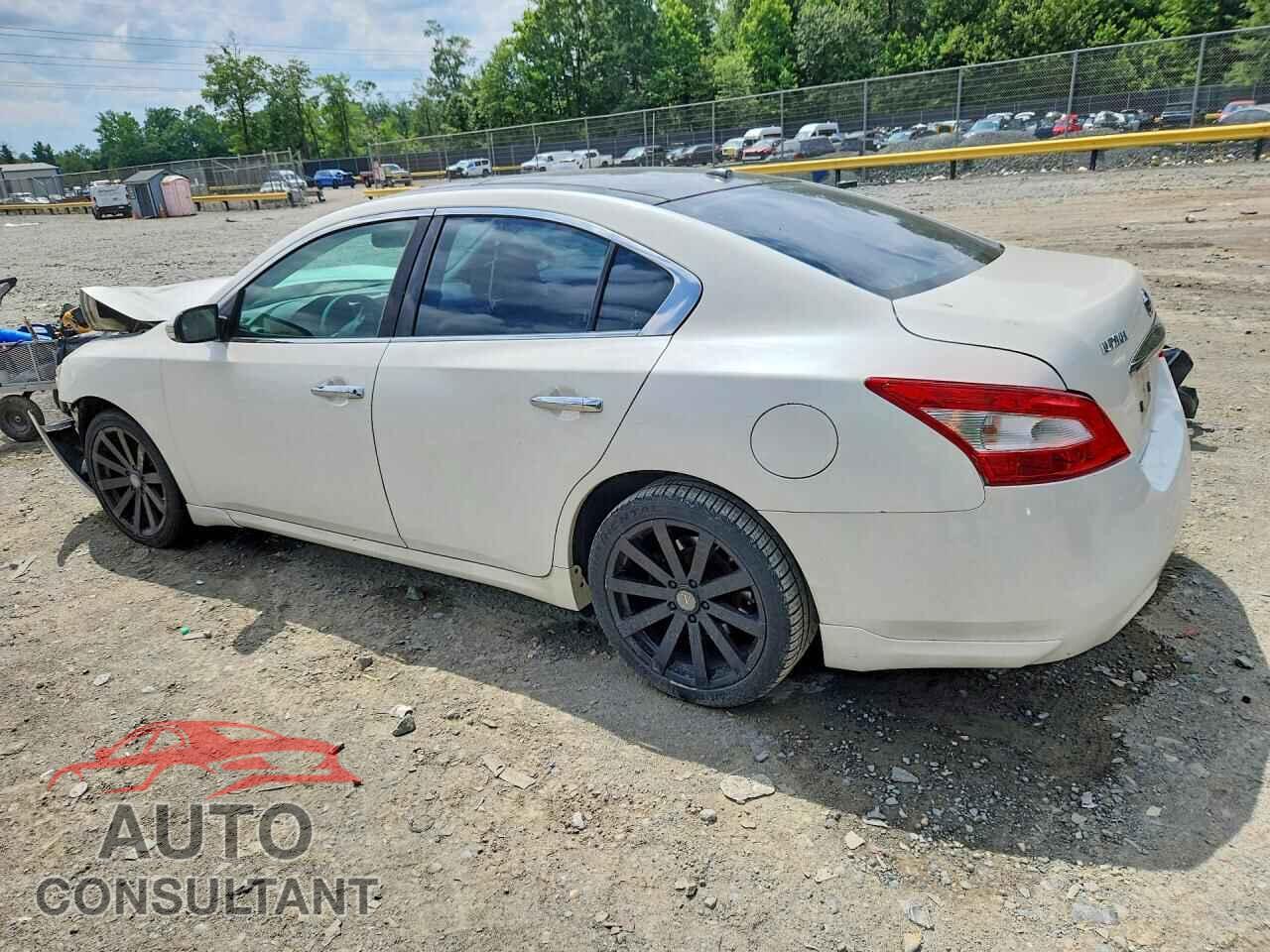 NISSAN MAXIMA 2011 - 1N4AA5AP3BC846589