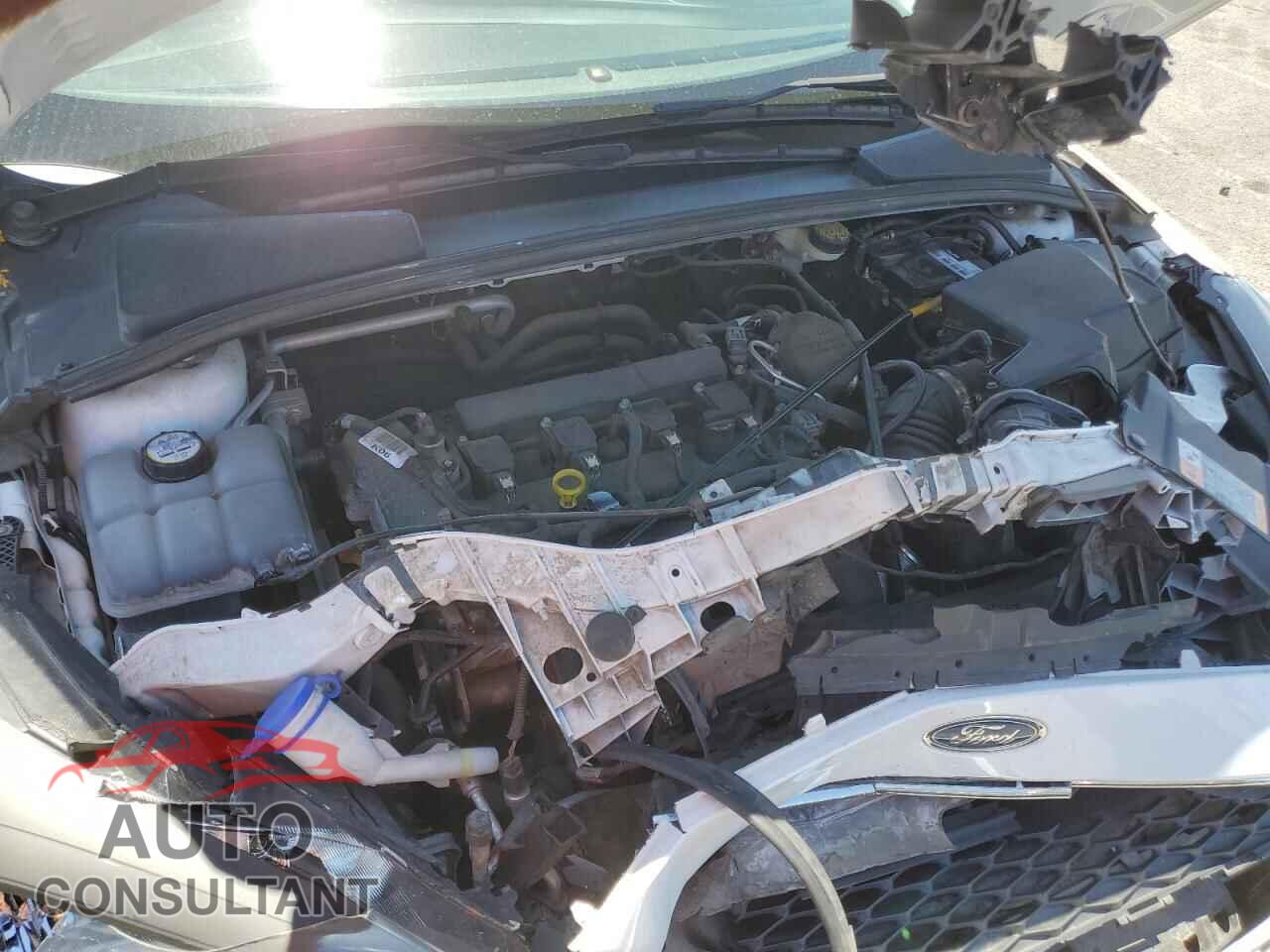 FORD FOCUS 2016 - 1FADP3K28GL230980
