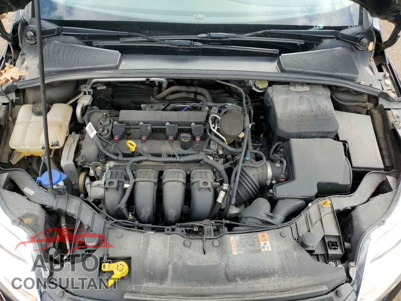 FORD FOCUS 2014 - 1FADP3F29EL384105