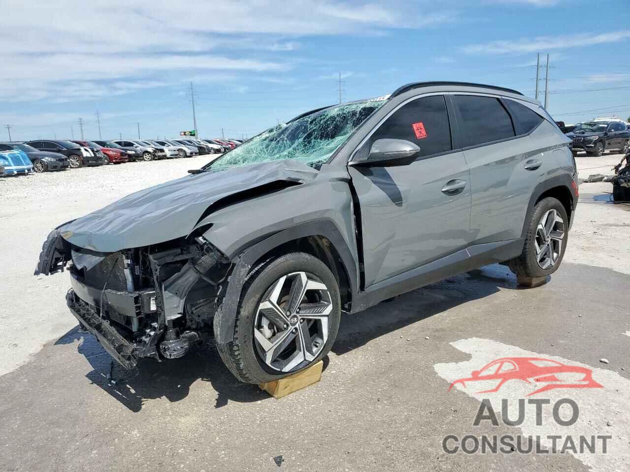 HYUNDAI TUCSON 2024 - 5NMJF3DE5RH376121
