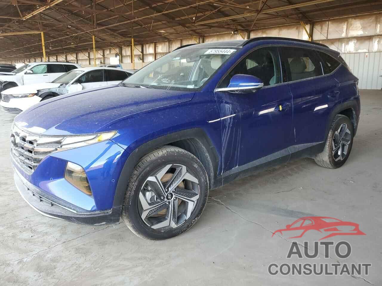 HYUNDAI TUCSON 2022 - 5NMJECAE7NH024286