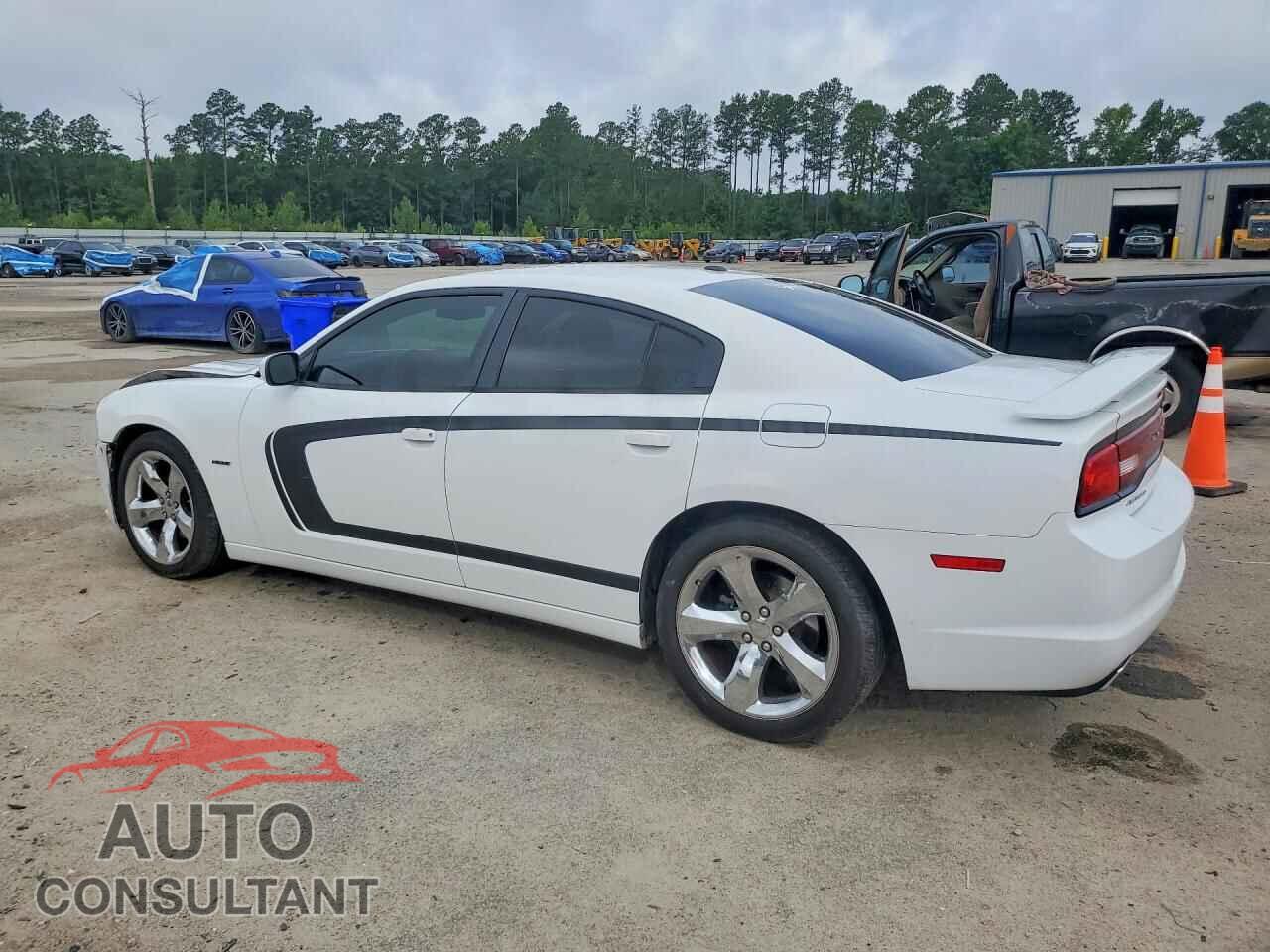 DODGE CHARGER 2014 - 2C3CDXCTXEH134263