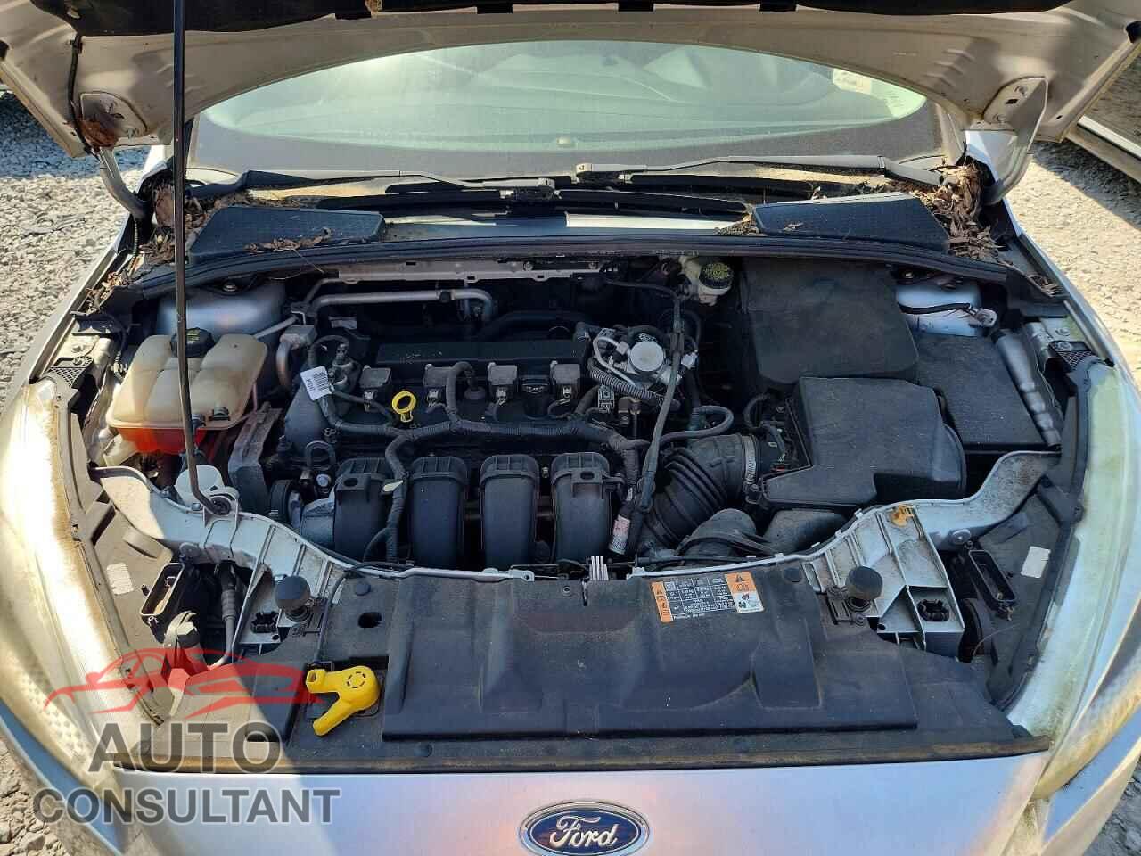 FORD FOCUS 2016 - 1FADP3F29GL371079