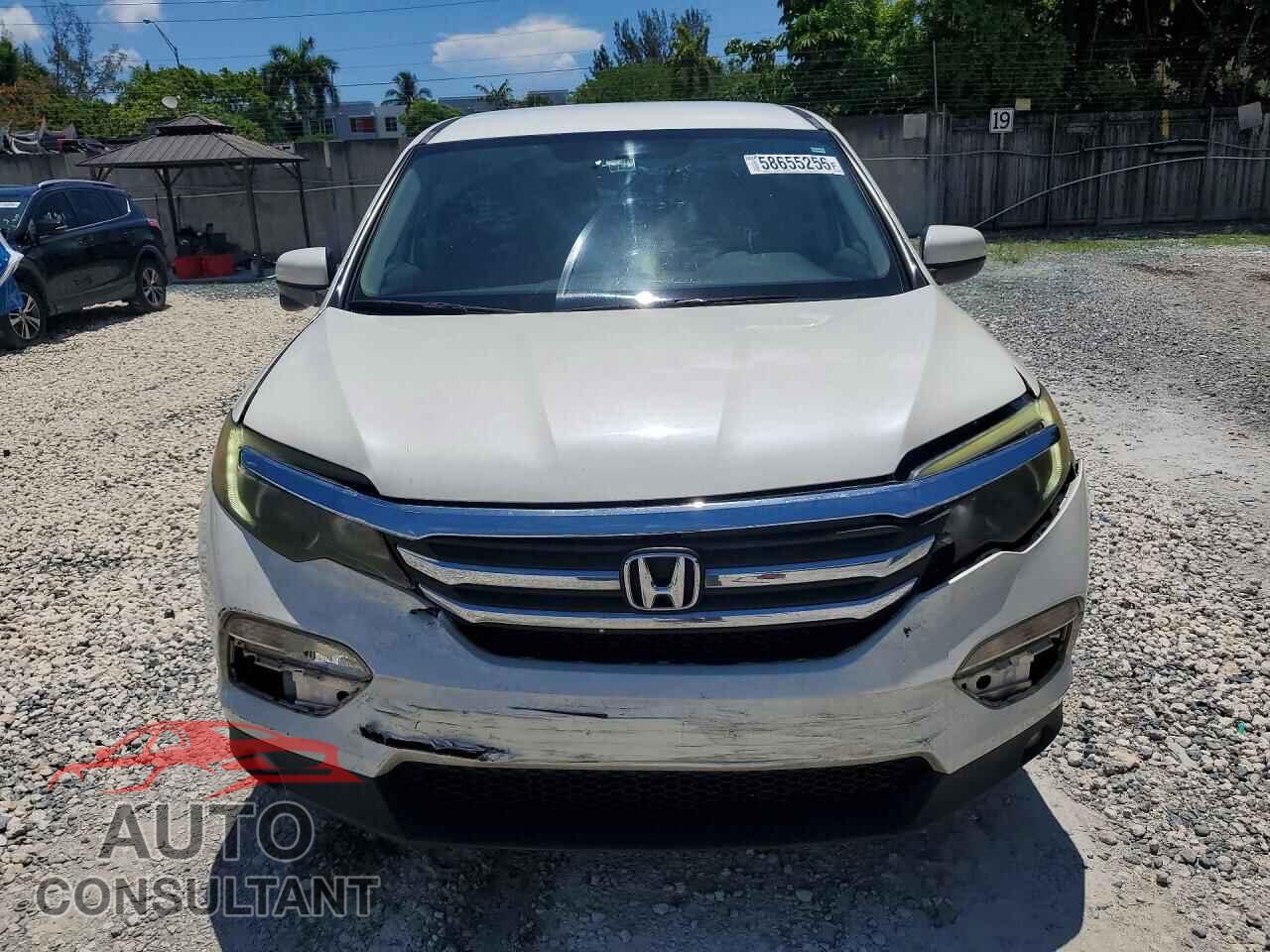 HONDA PILOT 2018 - 5FNYF5H36JB020026