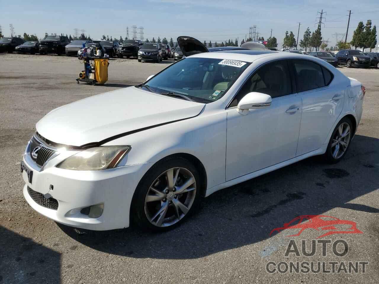 LEXUS IS 2009 - JTHBK262492091099