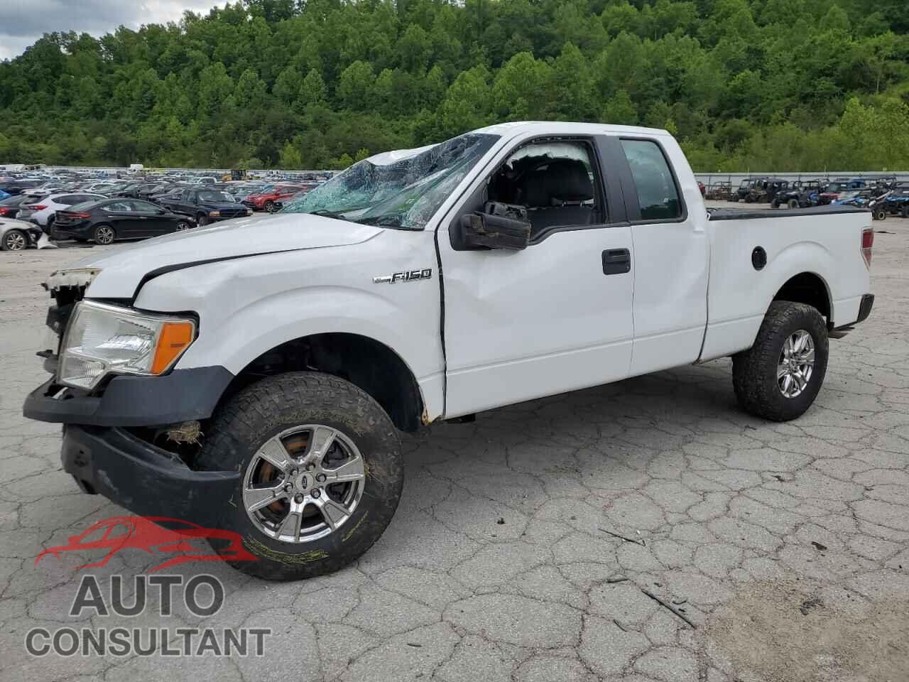 FORD F-150 2011 - 1FTFX1EF8BFC64009