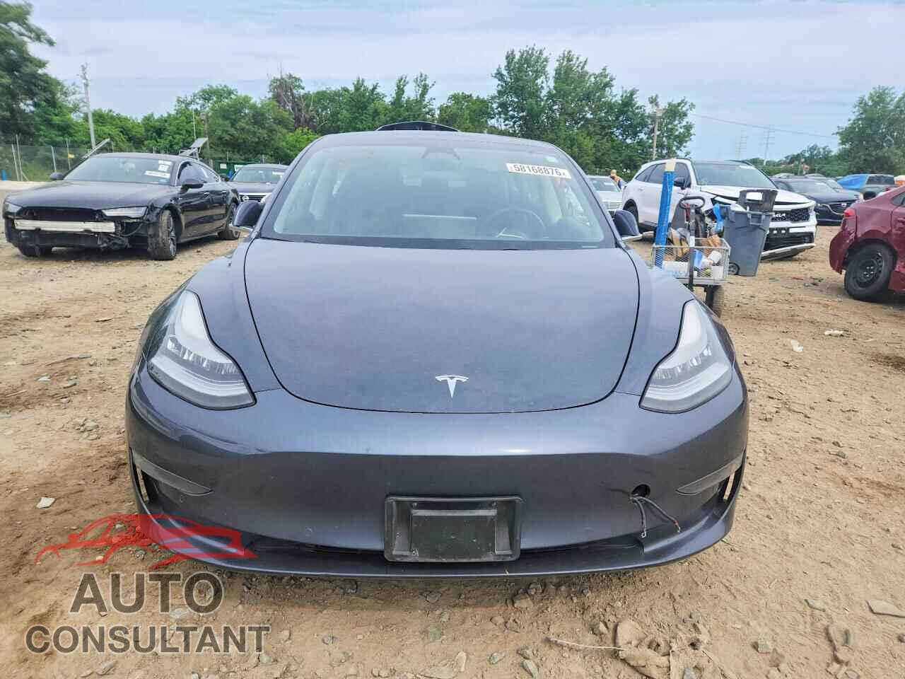 TESLA MODEL 3 2019 - 5YJ3E1EA3KF436299