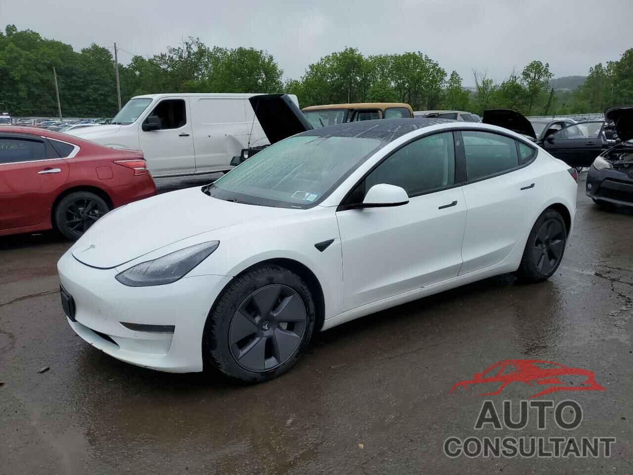TESLA MODEL 3 2021 - 5YJ3E1EA2MF919821