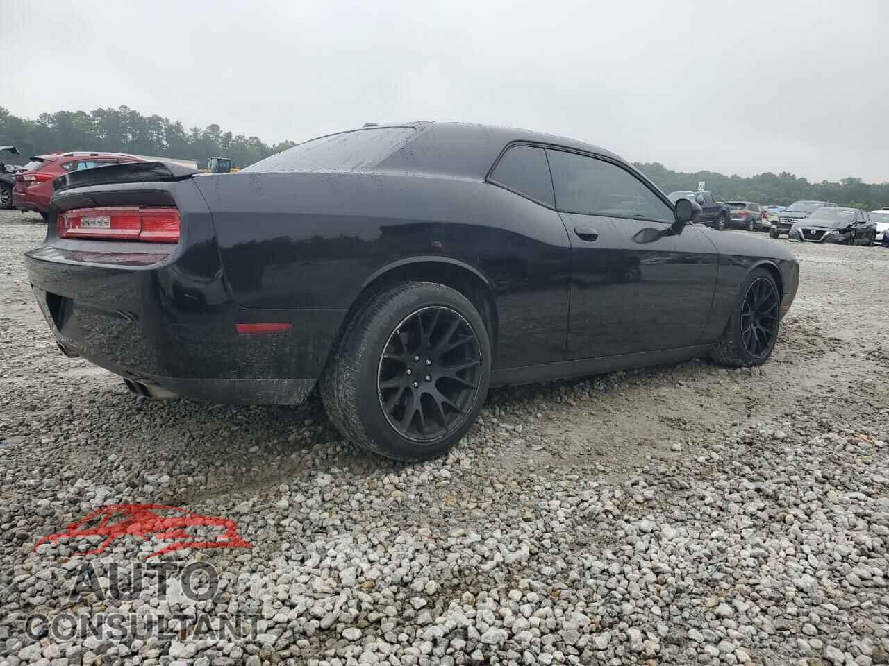 DODGE CHALLENGER 2013 - 2C3CDYBT7DH573961