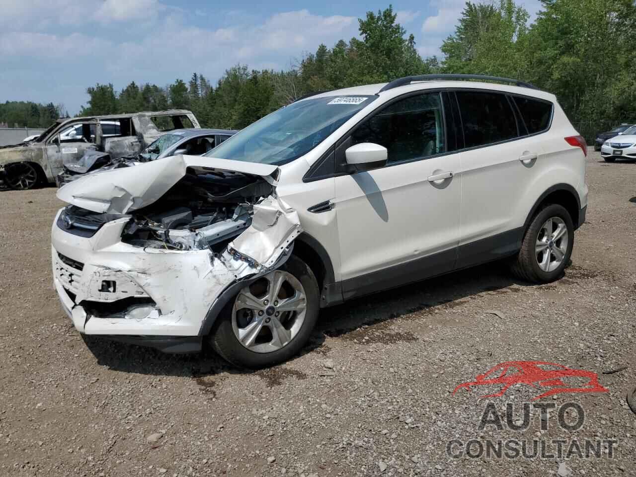 FORD ESCAPE 2014 - 1FMCU9GX6EUA25439