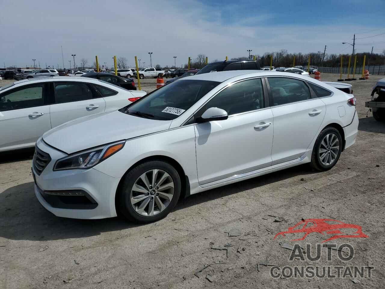 HYUNDAI SONATA 2016 - 5NPE34AF2GH346281