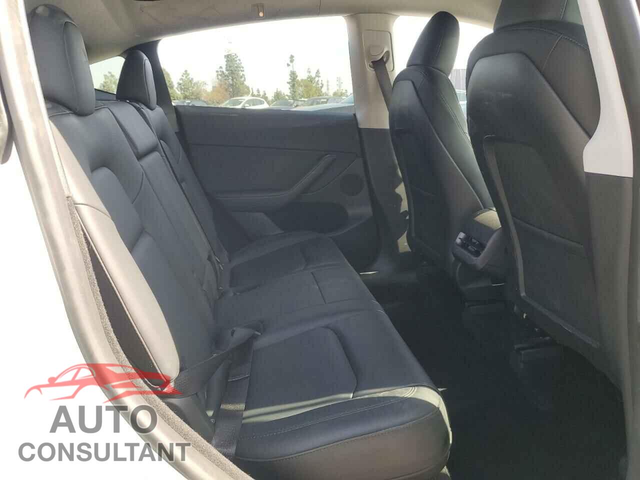 TESLA MODEL Y 2024 - 7SAYGDED1RF002570