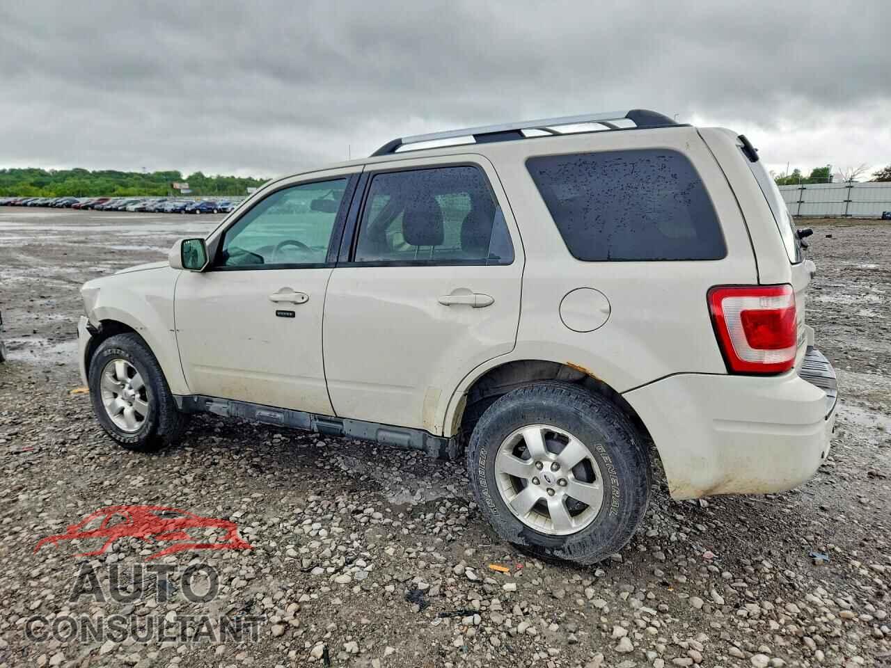 FORD ESCAPE 2011 - 1FMCU9EG4BKC31191