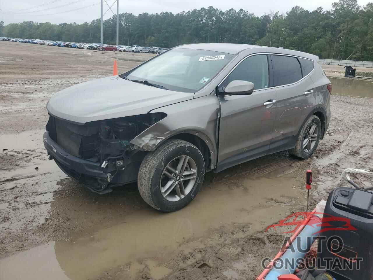HYUNDAI SANTA FE 2017 - 5NMZT3LBXHH038022
